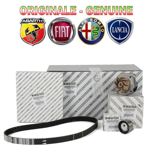 Kit distribuzione pompa - distribuzione, +