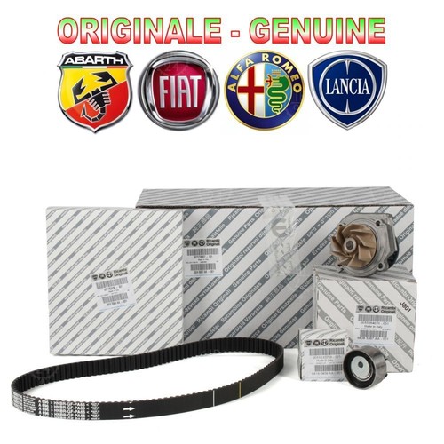 Kit distribuzione pompa - distribuzione, +